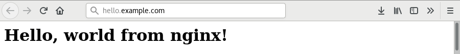 Hello world from nginx screenshot