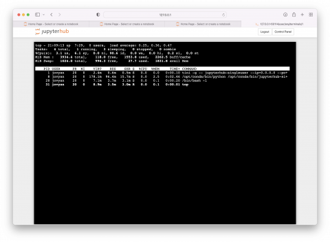 JupyterHub Terminal