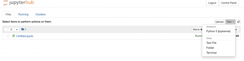 JupyterHub Files View, New menu
