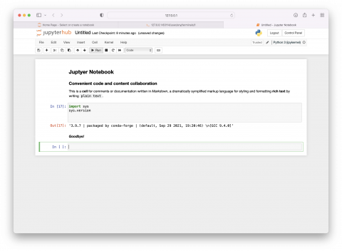 JupyterHub Jupyter Notebook